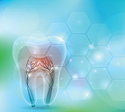 Ząb z wieloma nerwami